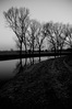 K20D0421_-_Version_2.jpg