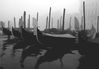 K20_4428bw.jpg