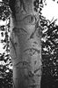 _K201065_-_Version_2.jpg