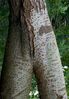 _K201067.jpg
