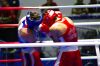 boxe_colori_IGP4340.JPG