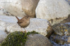 _IMG2339-Edit-Edit-Edit.jpg