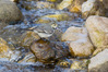 _IMG2370-Edit.jpg