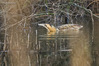 _IMG2721-Edit.jpg