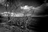 Bracciano-7387.jpg