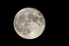 IMK29162_luna_1000mm_ridotta.jpg