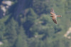 Nome del file=1690960144098.jpg
Dimensione del file=412KiB
Dimensioni=2047x1354
Aggiunta il=02 Ago 2023 1690960144098.jpg