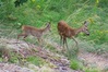 Nome del file=1690960144109.jpg
Dimensione del file=1239KiB
Dimensioni=2047x1365
Aggiunta il=02 Ago 2023 1690960144109.jpg