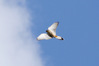 Nome del file=1712562454206.JPG
Dimensione del file=617KiB
Dimensioni=1920x1280
Aggiunta il=26 Apr 2024 1712562454206.JPG