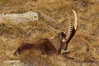 K3235101.JPG