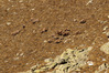 K3235138.JPG