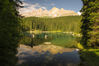 IMGP4901-2.jpg