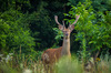 Nome del file=IMGP5585-2.jpg
Dimensione del file=629KiB
Dimensioni=1400x927
Aggiunta il=08 Lug 2019 IMGP5585-2.jpg