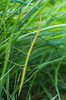 Nome del file=IMGP6011.jpg
Dimensione del file=503KiB
Dimensioni=927x1400
Aggiunta il=06 Lug 2018 IMGP6011.jpg
