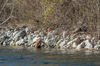 Nome del file=_PK51175.jpg
Dimensione del file=792KiB
Dimensioni=1250x828
Aggiunta il=05 Feb 2017 _PK51175.jpg