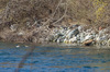 Nome del file=_PK51178.jpg
Dimensione del file=787KiB
Dimensioni=1250x828
Aggiunta il=05 Feb 2017 _PK51178.jpg