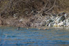 Nome del file=_PK51179.jpg
Dimensione del file=781KiB
Dimensioni=1250x828
Aggiunta il=05 Feb 2017 _PK51179.jpg