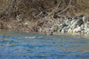 Nome del file=_PK51180.jpg
Dimensione del file=715KiB
Dimensioni=1250x828
Aggiunta il=05 Feb 2017 _PK51180.jpg