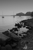 IMGP0442.jpg