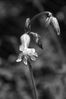 IMGP0860.JPG