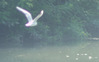 IMGP0799.jpg