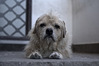 IMGP2818_01.jpg
