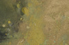 IMGP9587drktbl.jpg