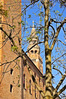 cremona_07_04_2015_0176.jpg